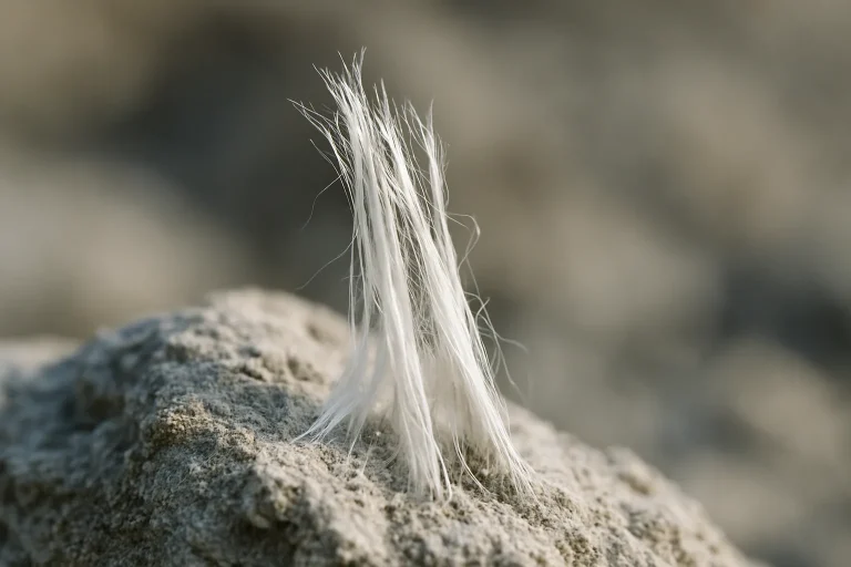 Gros plan de fibres d'amiante, texture visible, éclairage naturel